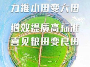 大地中文资源 106，优质商品，满足您的多样需求