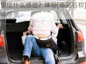 在车里做什么感觉？体验[商品名称]带来的独特感受