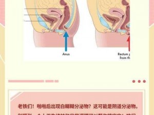 女性啪啪流出白色液体，可能是正常的生理现象，也可能是疾病的表现