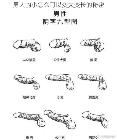 男人的小怎么可以变大变长的秘密