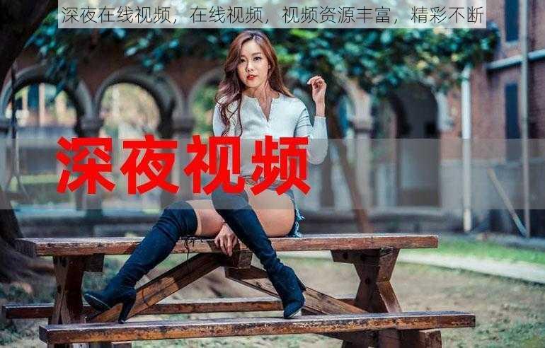 深夜在线视频，在线视频，视频资源丰富，精彩不断