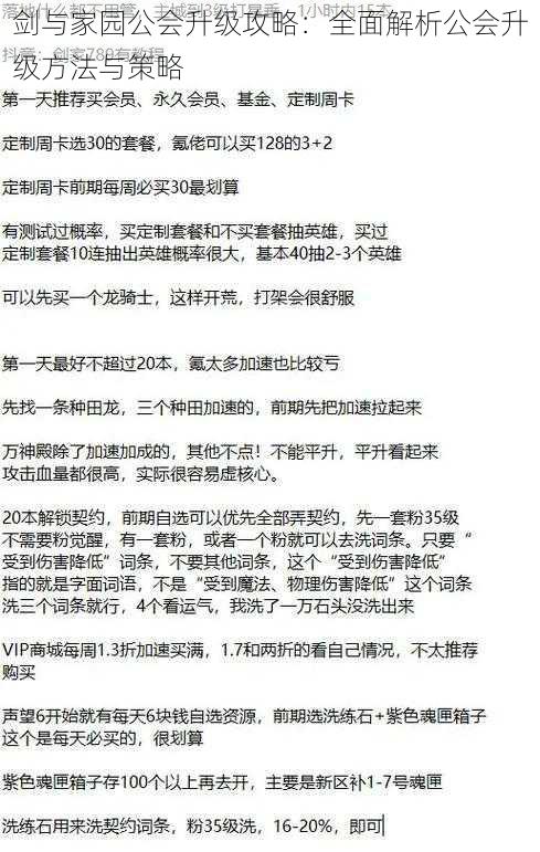 剑与家园公会升级攻略：全面解析公会升级方法与策略