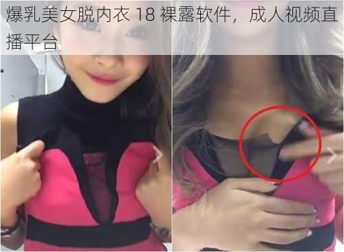 爆乳美女脱内衣 18 裸露软件，成人视频直播平台